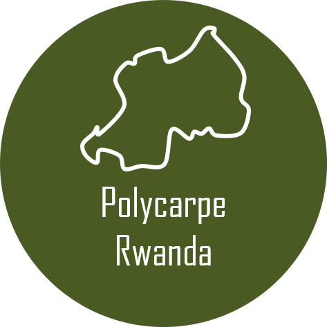 Polycarpe Rwanda